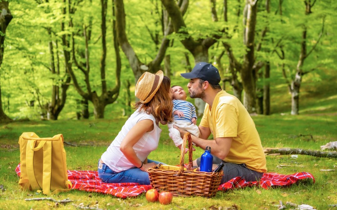 Mastering the Art of Picnic Planning: Tips and Essentials